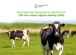 Kənd təsərrüfatı heyvanlarının sığortası üzrə 190 min manat sığorta ödənişi edilib