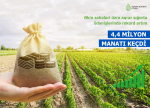 Əkin sahələri üzrə sığorta ödənişlərində rekord artım – 4,4 MİLYON MANATI KEÇDİ