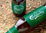 Carlsberg 2025-ci ilin ilk yarısında gəlirini 18,2% artırdı