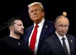 Tramp avqustun sonuna qədər Putin və Zelenski görüşünü ümid edir