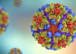 Çində Quanqdun əyalətində 336 yeni çikungunya xəstəliyi halı qeydə alındı — Epidemiya riski qalır