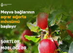 Azərbaycanda meyvə bağlarının aqrar sığortası mövsümü başlayır – ŞƏRTLƏR, MƏBLƏĞLƏR