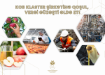KOB klasterin iştirakçısı olmaq istəyən KOB subyektlərinin nəzərinə!