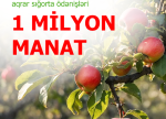 Meyvə bağları üzrə aqrar sığorta ödənişləri 1 milyon manata çatıb