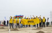 Yelo Bank ölkəmizin yaşıllaşdırılmasına öz töhfəsini verdi