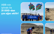 ABB-nin iştirakı ilə 31 000-dən çox ağac əkilir!