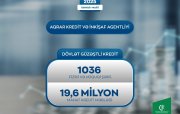 Fiziki və hüquqi şəxslərə 19.6 milyon manat güzəştli kredit verilib