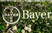 Bayer Almaniyanın bitki mühafizəsi seqmentində 200-dən çox iş yerini ixtisar edəcək