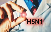 Yeni pandemiya təhlükəsi: Alimlər H5N1 virusunun yayılmasından narahatdır