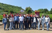 "Azerçay" çay plantasiyalarına mediatur təşkil edib