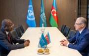 COP29 rəhbərliyi Qvineya-Bisaunun ətraf mühit naziri ilə görüşüb
