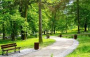 TENDER:Parkının tikintisi üçün 8.75 mln. manatlıq satınalma