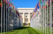 Dünya üzrə birbaşa xarici investisiyalar 11% azalıb - UNCTAD