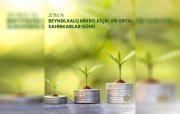 Bu gün Beynəlxalq Mikro, Kiçik və Orta Sahibkarlar Günüdür