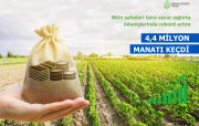 Əkin sahələri üzrə sığorta ödənişlərində rekord artım – 4,4 MİLYON MANATI KEÇDİ