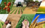 Regionlarda perspektivli biznes ideyaları və ilkin investisiya imkanları - CƏDVƏL