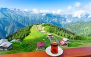 Payızda Türkiyədə səyahət: Ağva, Yedigöller, Maşukiyə, Kapadokya və Çamlıhemşin