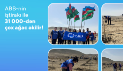 ABB-nin iştirakı ilə 31 000-dən çox ağac əkilir!