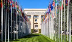 Dünya üzrə birbaşa xarici investisiyalar 11% azalıb - UNCTAD