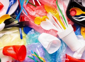 Bu ölkədə birdəfəlik plastik istifadəsi qadağa edilib