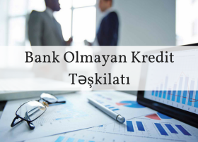 BOKT-ların ümumi kredit qoyuluşundakı xüsusi çəkisi 5,3 %-ə çatıb