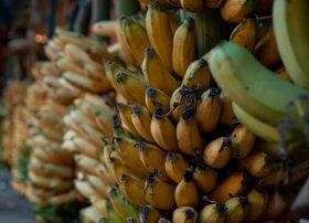 Bananlardan tutmuş batareyalara: Filippin Yaponiya və ABŞ ilə yeni müqavilələr axtarır