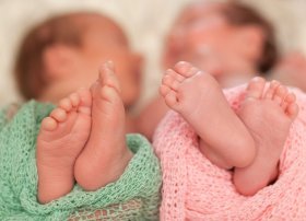Bu il Azərbaycanda 1390 əkiz, 51 üçəm, 4 dördəm doğulub