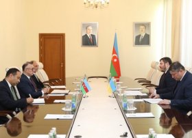 Ukrayna səfiri: Uşaqlar üçün reabilitasiya proqramına görə Azərbaycana minnətdarıq