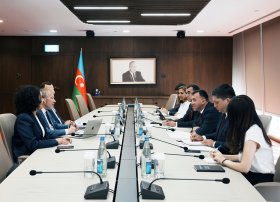 Dünya İqlim Fondunun icraçı direktoru ilə görüş keçirilib