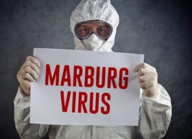 Afrikada ölümcül virus tüğyan edir
