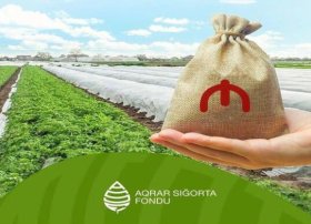 Sığorta ödənişləri 45,5% artıb