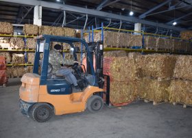 "Zaqatala AGRO Industry" MMC 160 ton tütün ixrac edib