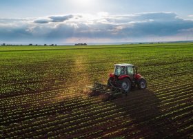 Azərbaycanda 2025-ci il üçün payızlıq bitkilərin səpini tamamlanır