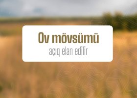 Azərbaycanda ov mövsümü rəsmi olaraq başladı