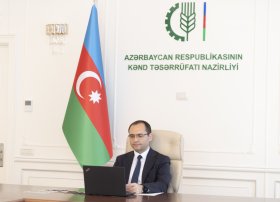 Rusiya Azərbaycanın taxıl tələbatını qarşılamaya hazırdır
