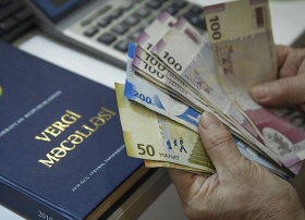 Vergi ödəyicilərinin hüquqları ilə bağlı 88 müraciət araşdırılıb