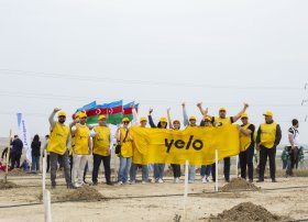 Yelo Bank ölkəmizin yaşıllaşdırılmasına öz töhfəsini verdi