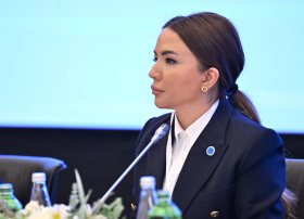 Aygün Əliyeva: “Həmrəy fəaliyyətlə konkrekt nəticələr əldə etməliyik”