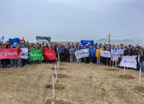 Maliyyə Assosiasiyalarının növbəti ağacəkmə aksiyası keçirilib