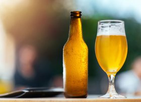 Qəbələdə yeni pivə və sərinləşdirici içkilər zavodu tikiləcək