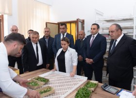 Azərbaycanda 2025-ci il barama istehsalı mövsümünə start verilib