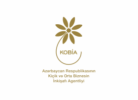 Daha 4 sahibkar innovasiya fəaliyyəti üzrə mənfəət vergisindən azad edilib
