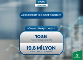 Fiziki və hüquqi şəxslərə 19.6 milyon manat güzəştli kredit verilib