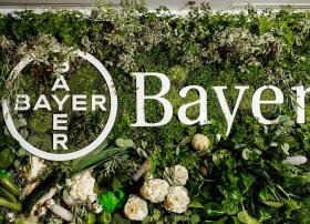 Bayer Almaniyanın bitki mühafizəsi seqmentində 200-dən çox iş yerini ixtisar edəcək