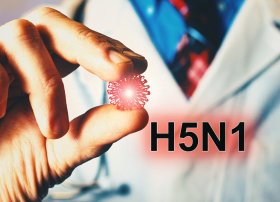 Yeni pandemiya təhlükəsi: Alimlər H5N1 virusunun yayılmasından narahatdır