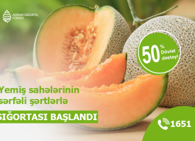 Yemiş sahələrinin sərfəli şərtlərlə sığortası başlandı – ŞƏRTLƏR, MƏBLƏĞLƏR
