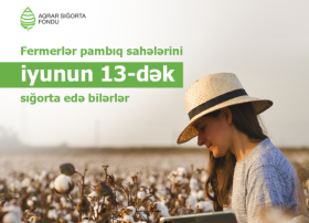 Pambıq sahələrinin sığortası iyunun 13-dək davam edəcək