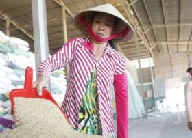 Yaponiyada düyü qiymətləri kəskin bahalaşıb