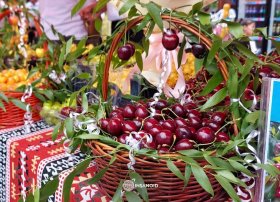 Azərbaycanda 9 iqtisadi rayonu əhatə edən Məhsul Festivalları keçiriləcək