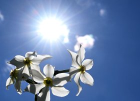 Sabaha gözlənilən hava proqnozu açıqlanıb